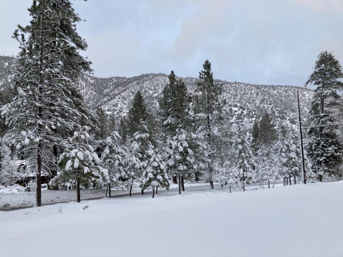 The Old Bear Bnb Pine Mountain Club Exterior photo